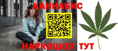 крисы Краснознаменск