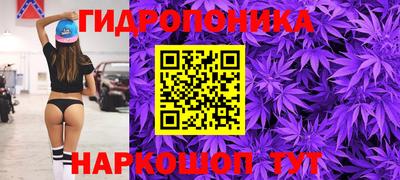 крисы Краснознаменск