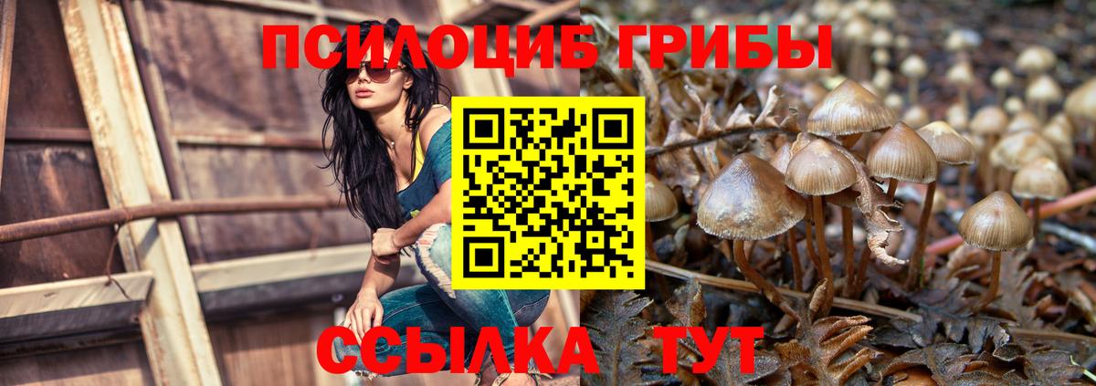 Псилоцибиновые грибы GOLDEN TEACHER Киржач