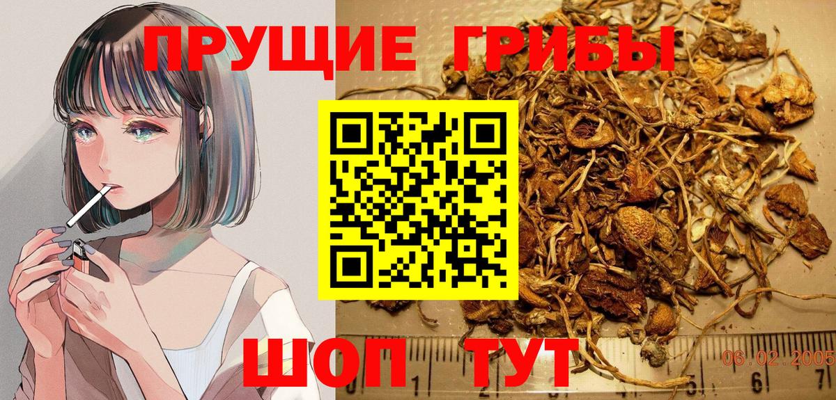 Киржач  Псилоцибиновые грибы мицелий  Вход с VPN  Галлюциногенные грибы мицелий 