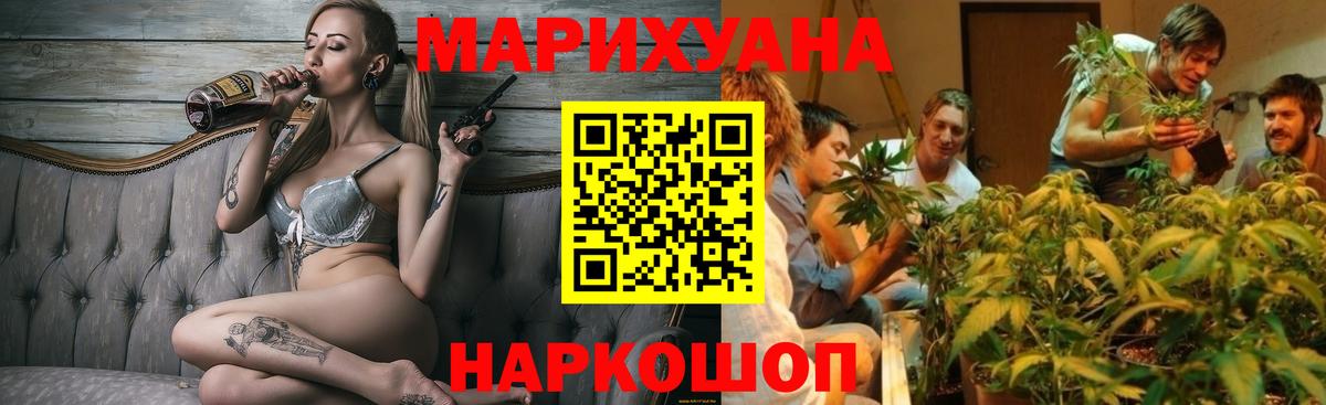Конопля сатива Киржач